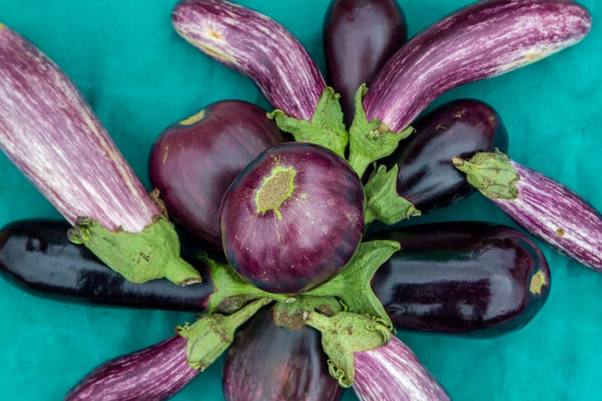 How to Ripen Eggplant Indoors or Outside Garden.eco