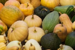 how-to-store-squash