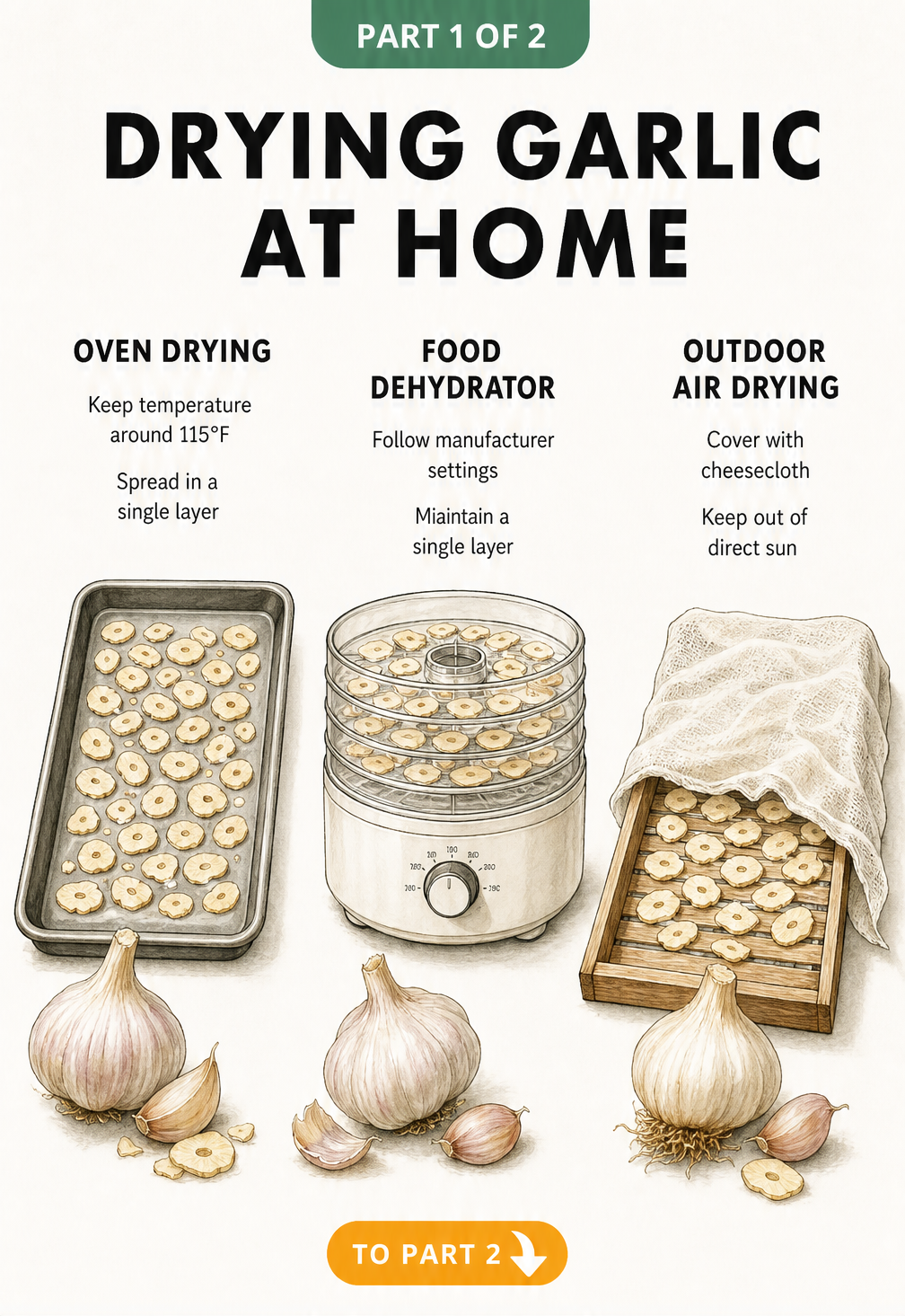Illustration showing three methods for drying garlic at home: oven drying, using a food dehydrator, and outdoor air drying.