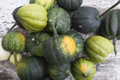 pick-acorn-squash