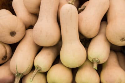 pick-butternut-squash-2