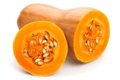 save-squash-seeds