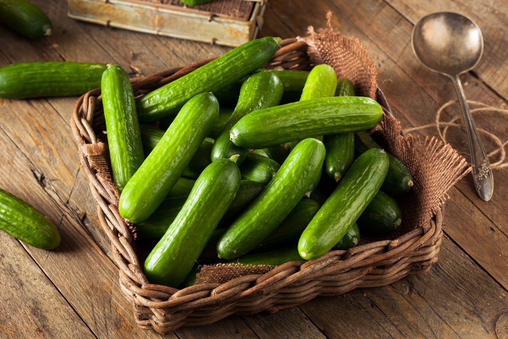 Storing Cucumbers Best Ways To Keep Them Fresh