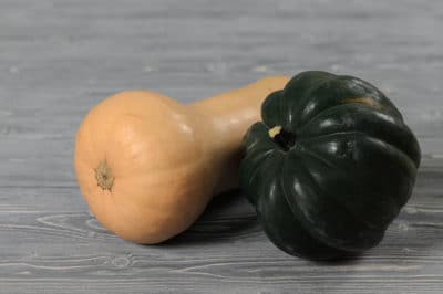 storing-winter-squash