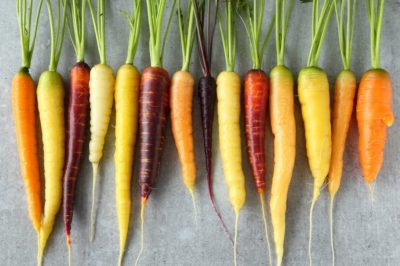 where-are-carrots-grown