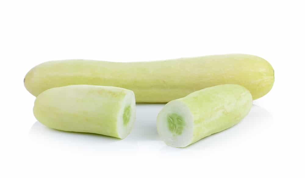 White Cucumbers What You Need To Know Garden eco white-cucumbers-what-you-need-to-know-garden-eco