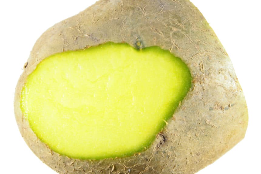 Why Are Potatoes Green? » Top Reasons Explained