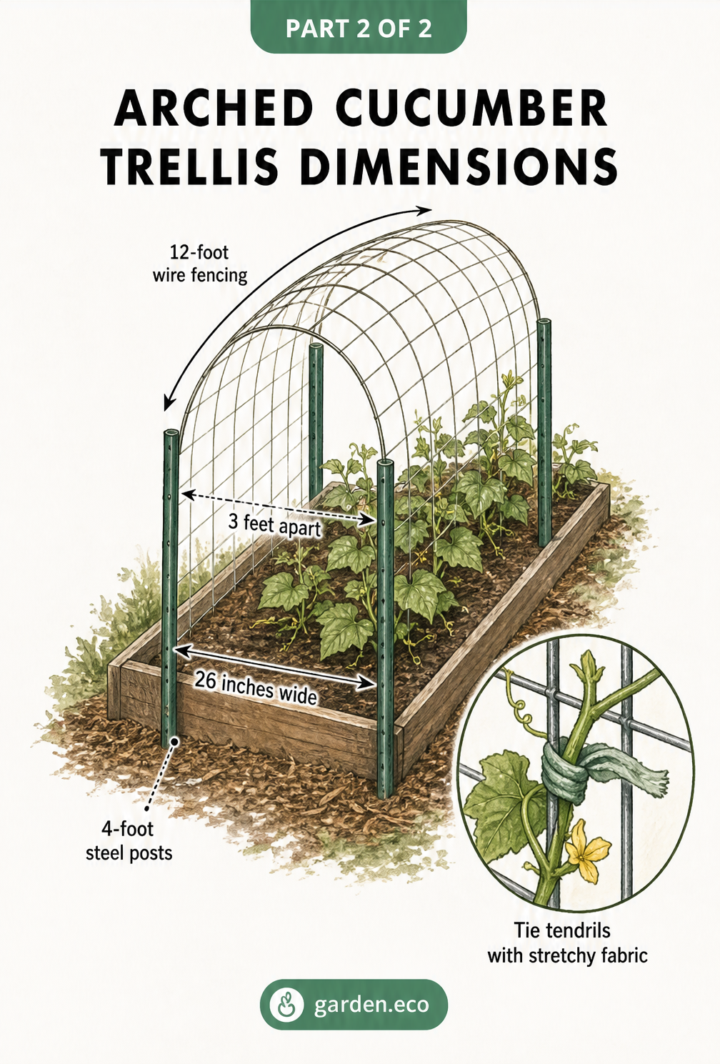 Isometric drawing of an arched cucumber trellis with dimensions for wire fencing and steel posts