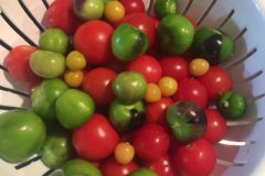 are-tomatillos-tomatoes