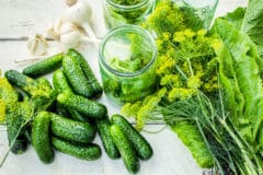 best-cucumbers-pickling