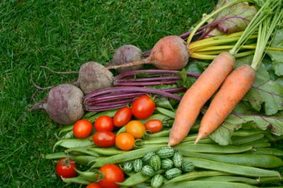 carrot-companion-planting