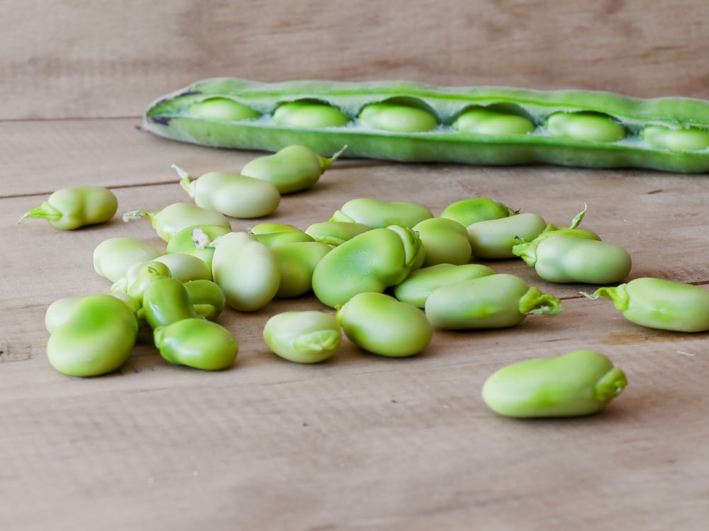 Freezing Lima Beans Keeping Them Fresh Tasty