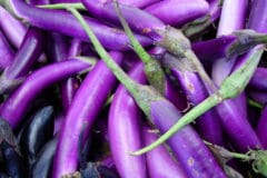 growing-japanese-eggplant