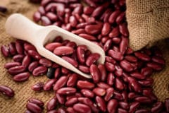 growing-kidney-beans
