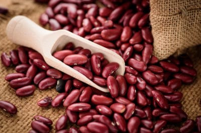 growing-kidney-beans