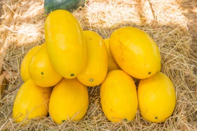 how-to-store-spaghetti-squash