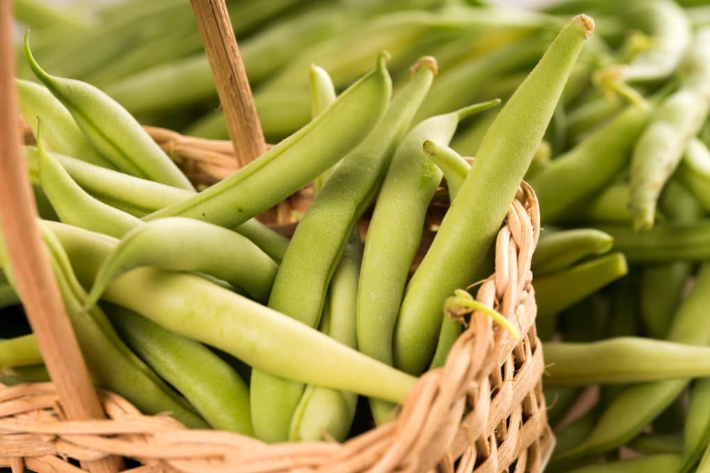 How far apart to plant green beans 