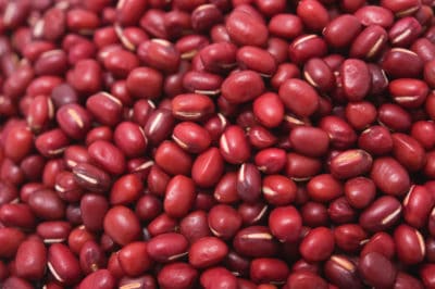 red beans bean plant types different garden plants growing companions vegetables herbs ornamental fruits gardens