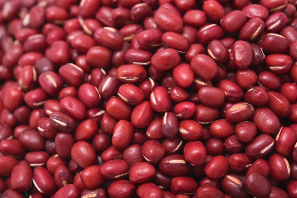 Red Bean Plants Top Tips On Types And Growing