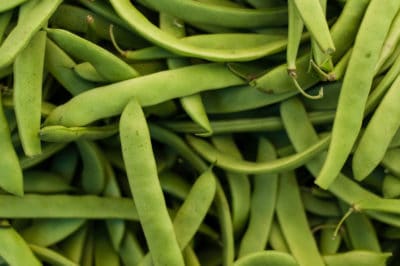 string-green-beans