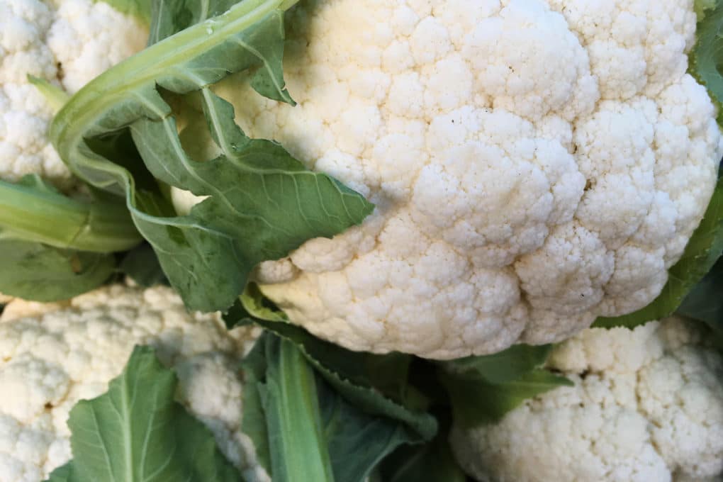 Cauliflower Disease & When to Call the Doctor