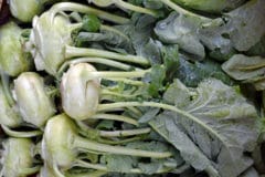 when-to-pick-kohlrabi