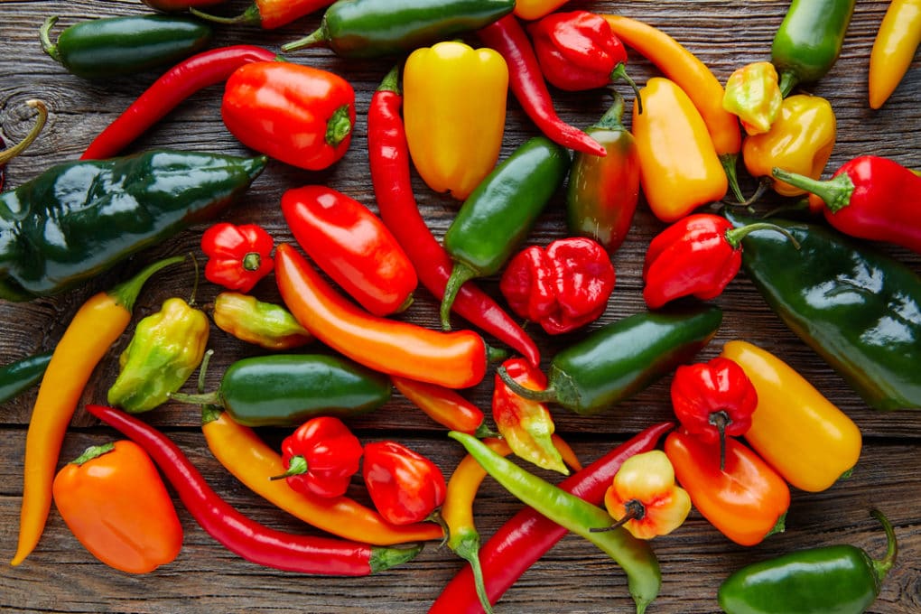 How to Preserve Hot Peppers » Tips for Fresh & Tasty