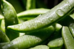 freezing-sugar-snap-peas