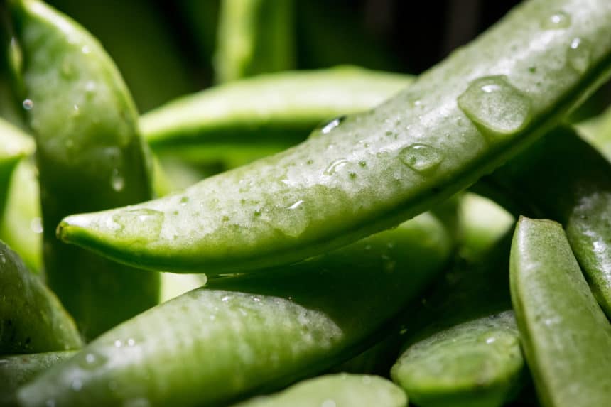Freezing Sugar Snap Peas » Tips on Keeping Them Fresh