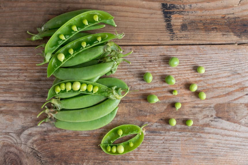 Freezing Sugar Snap Peas » Tips on Keeping Them Fresh