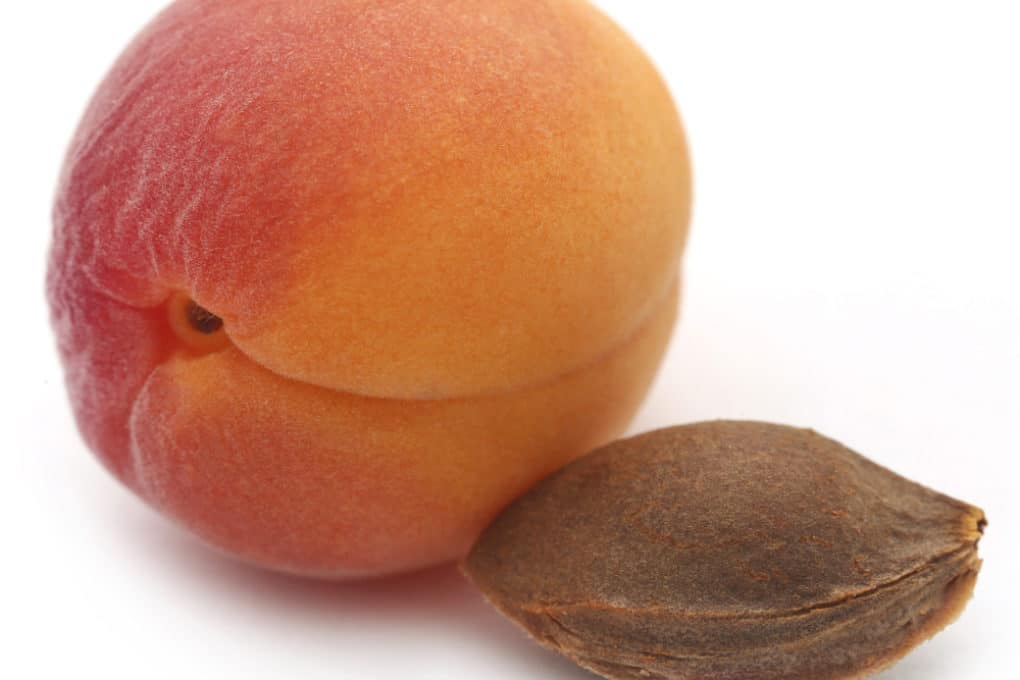 How to Ripen Apricots » All the Top Facts & Tips
