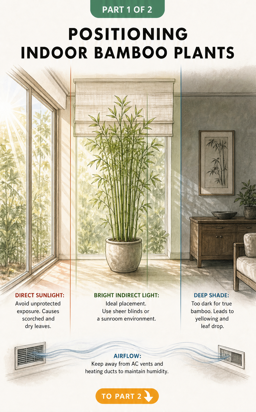 Hand-drawn botanical cross-section of a living room showing light zones for indoor bamboo plants, highlighting bright indirect light as ideal.