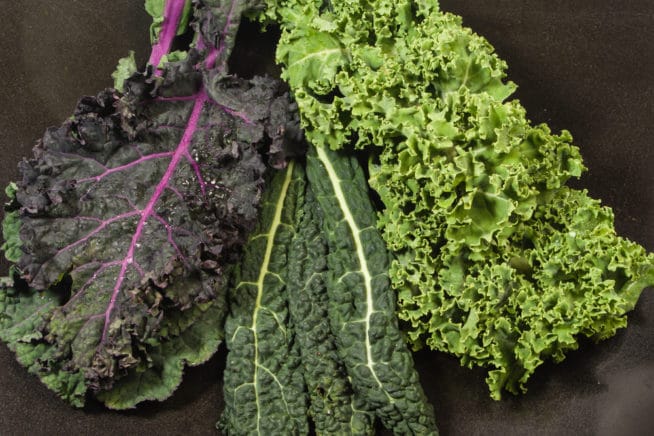 Kale Varieties » Wow! Too Many to Choose