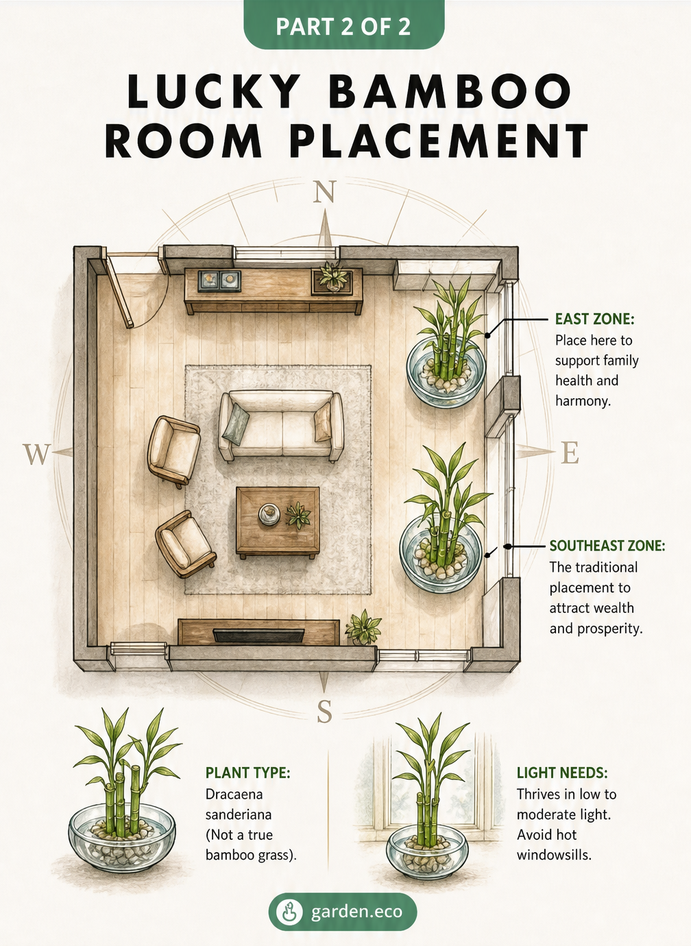 Elegant room layout illustration showing lucky bamboo plants placed in the east and southeast zones for feng shui benefits.