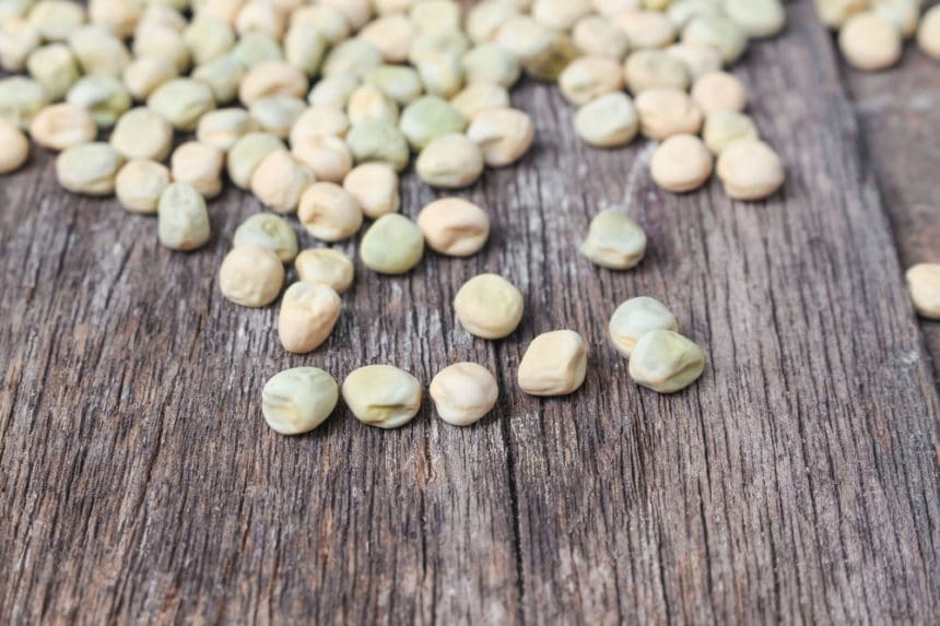 When to Plant Purple Hull Peas » Top Timing Tips