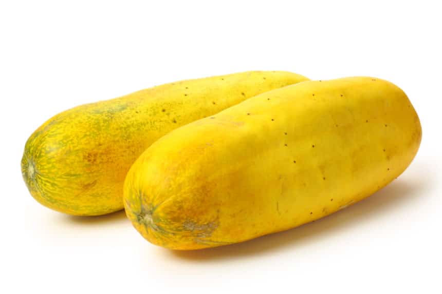 Yellow Cucumber Fruit Causes and Cures Garden.eco