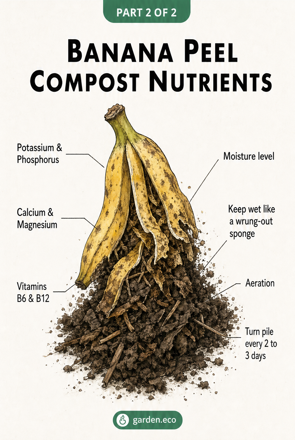 Illustration showing the nutrients in banana peel compost including potassium, phosphorus, calcium, and magnesium
