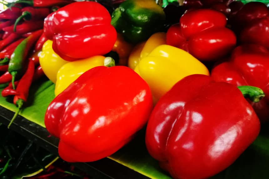 How Many Bell Peppers Per Plant? Garden.eco