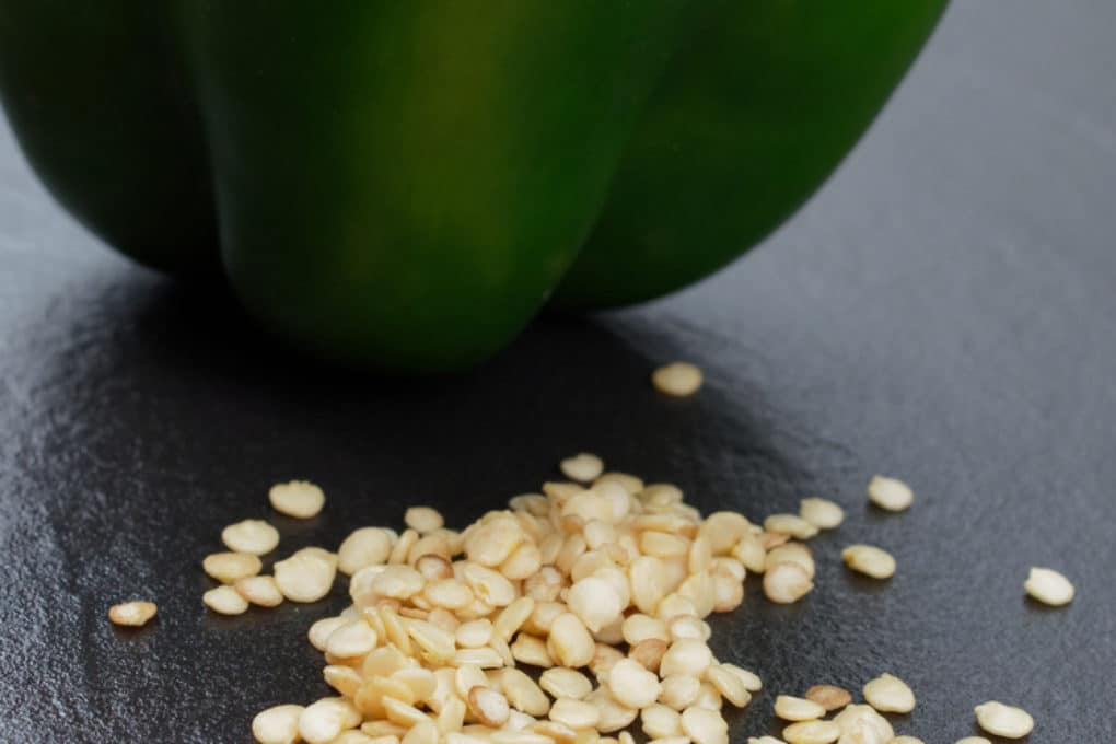 How to Grow Bell Peppers From Seed Garden.eco