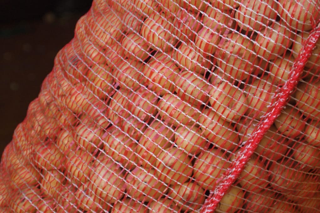 How to Store Potatoes From the Garden » Top Tips