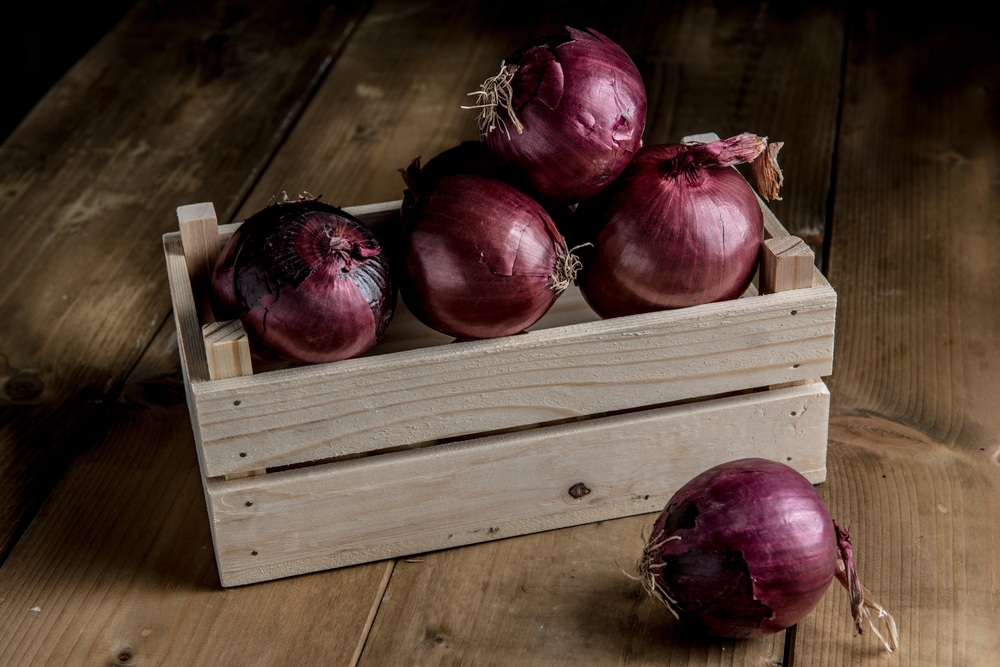 How To Store Red Onions Garden Eco
