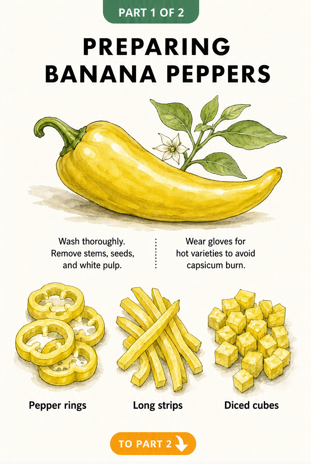 Illustration showing how to prepare banana peppers for freezing by washing, removing seeds, and slicing into rings, strips, or cubes.