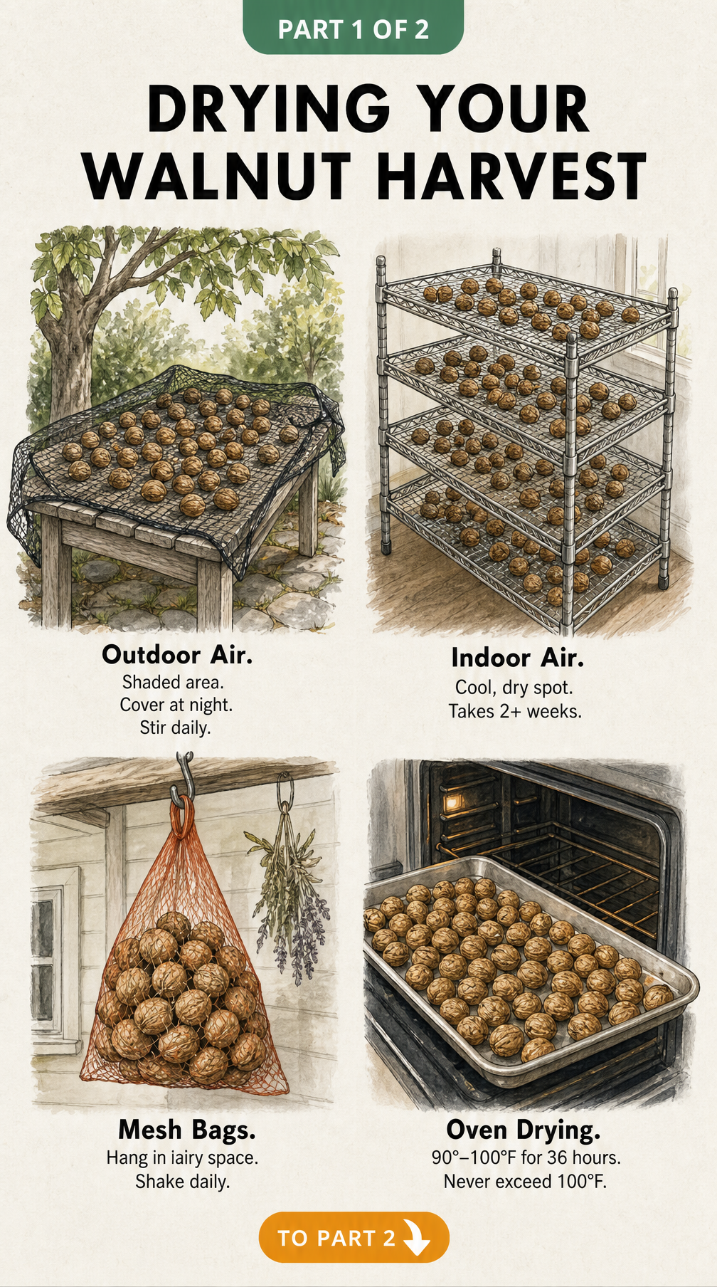 Four methods for drying walnuts: outdoor air drying, indoor air drying, mesh bags, and oven drying.