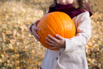 when-to-harvest-pumpkins