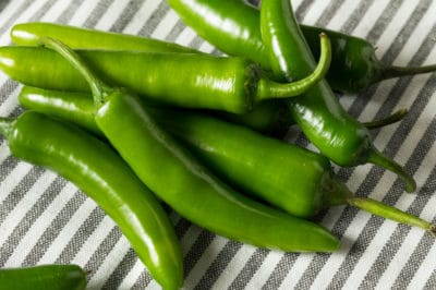 when-to-pick-serrano-peppers