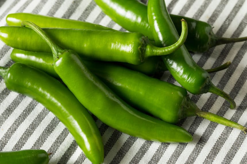 When to Pick Serrano Peppers » Pro Picking Tips