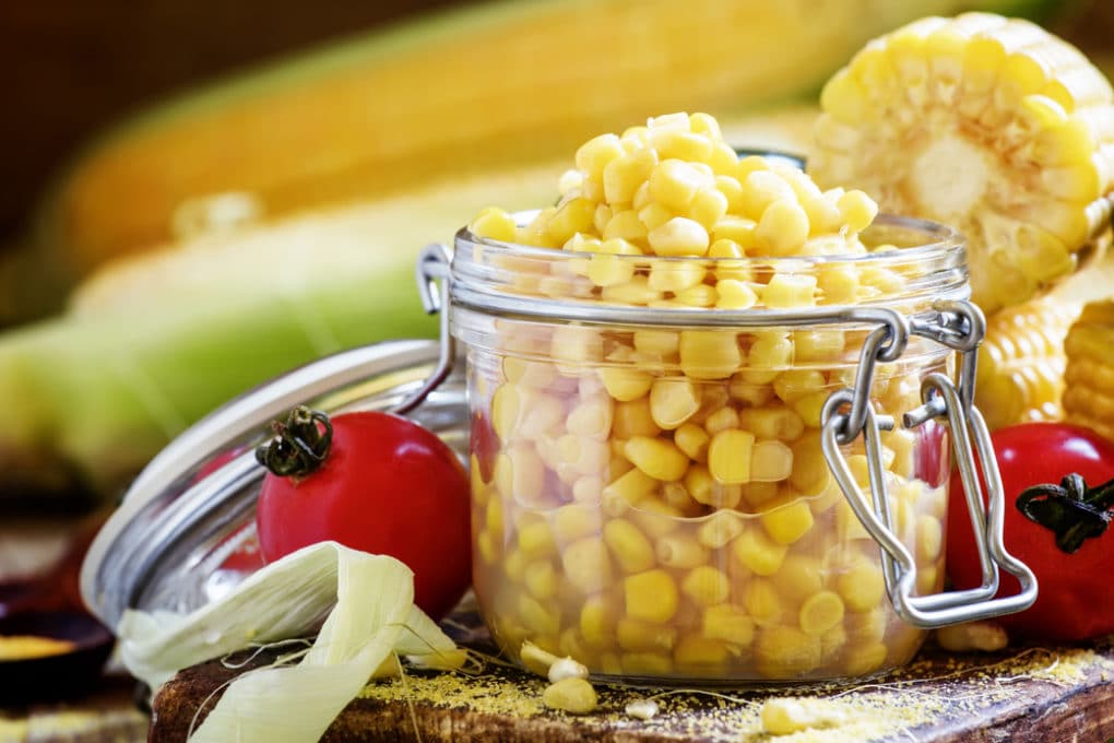 Do Bees Pollinate Corn? » Top Facts