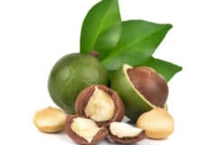 how-do-macadamia-nuts-grow