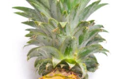 how-to-grow-pineapple-from-top