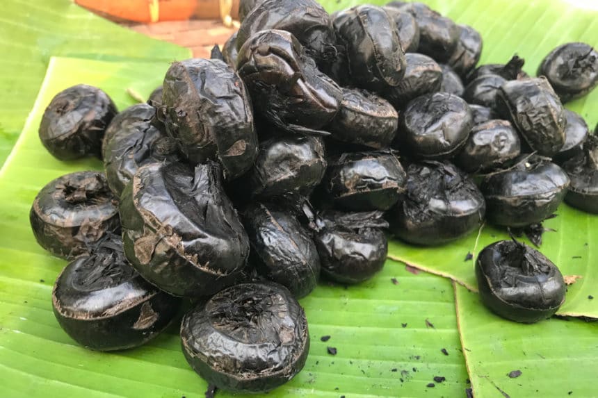 Where Do Water Chestnuts Grow? » Top Tips & Facts